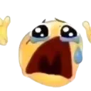 pqchoras