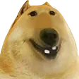 cheesinbutdoge