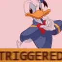 DonaldTriggered