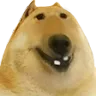 dogeing