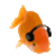 FishJam