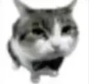 cato