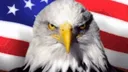 Freedom Freedom
