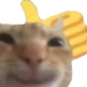 c_ok
