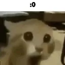 Shocked