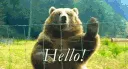 hello