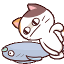 RC_meongfight