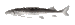 joel Discord emoji