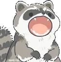 raccoon_pop