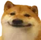 DogeNeutral DogeNeutral