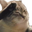 mouflo2Goodbyecaptain