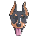 doberman
