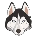 husky