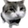 sir
