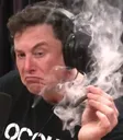 MuskBlaze