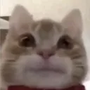 ermm