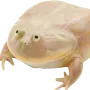 myDudes myDudes