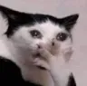 cattomg