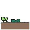 peekings peekings