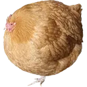 gc_sphericalchicken