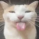 Bleh Bleh