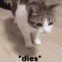 cta_dies_dead