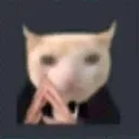 cat_think