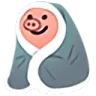 pigblanket