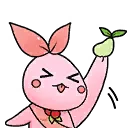 MOKOXDD