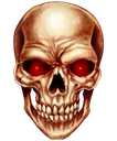 Skull