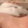 mouse_flat