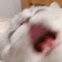 AAAAAAAAAAAAAAAA