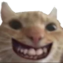CatTeef