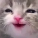 D_