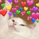 hearts