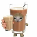 chocomilk