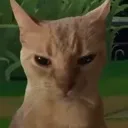 grrrr