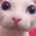 Thinking