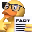 duckfact