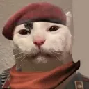 PrettyCat
