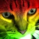 gaycat