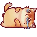 chocoCry chocoCry