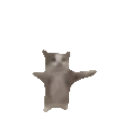 gatofeliz