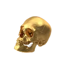 R__1_removebgpreview