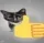 IN_cat IN_cat