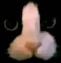 pyar_dik_billa