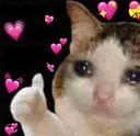 catsoproud Discord emoji