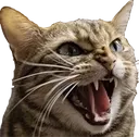 hiss