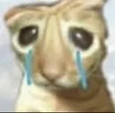 goofycatcry