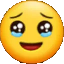 SADNESS